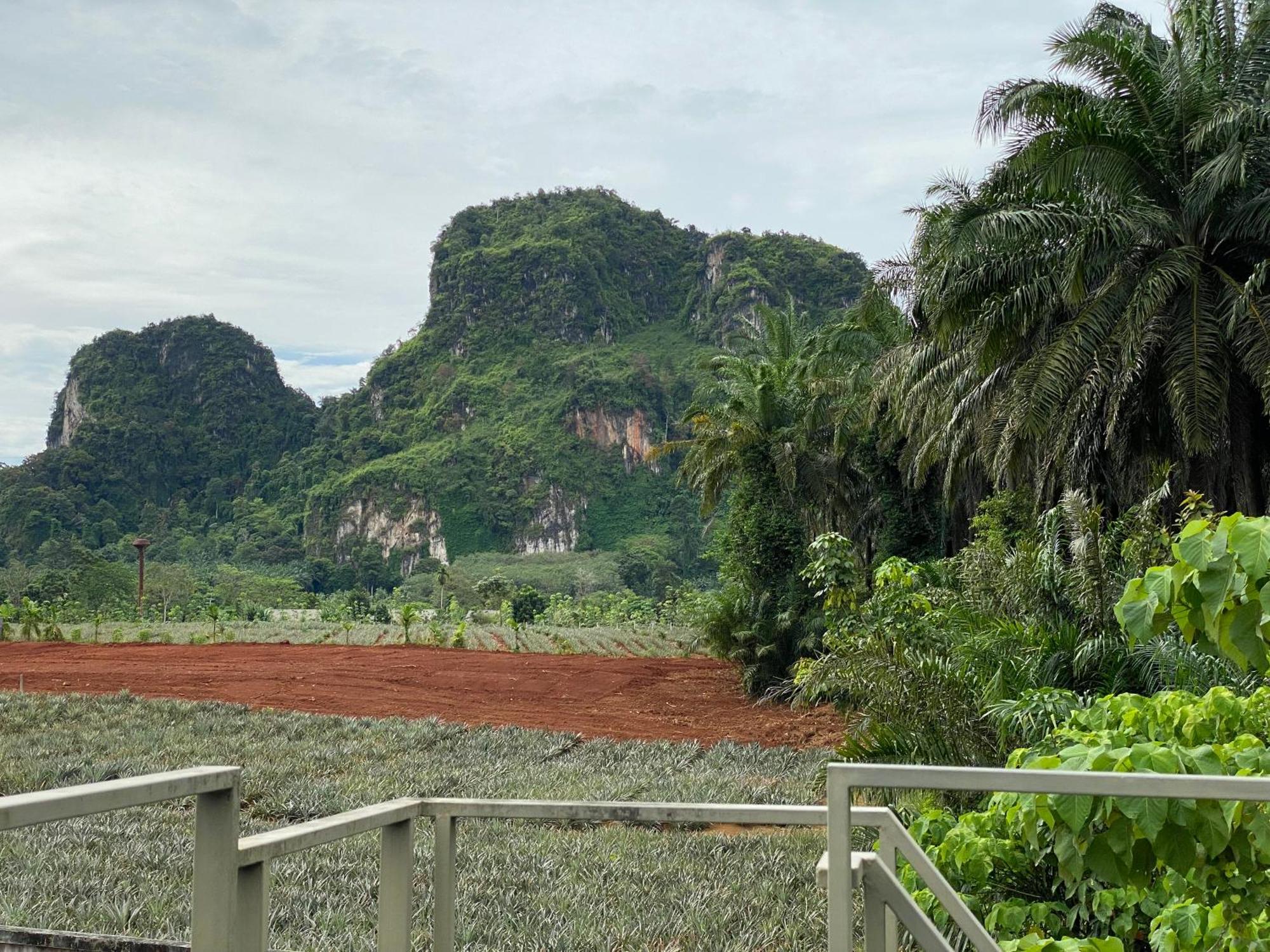 Ploy Mountain View Pool Casa de férias Krabi